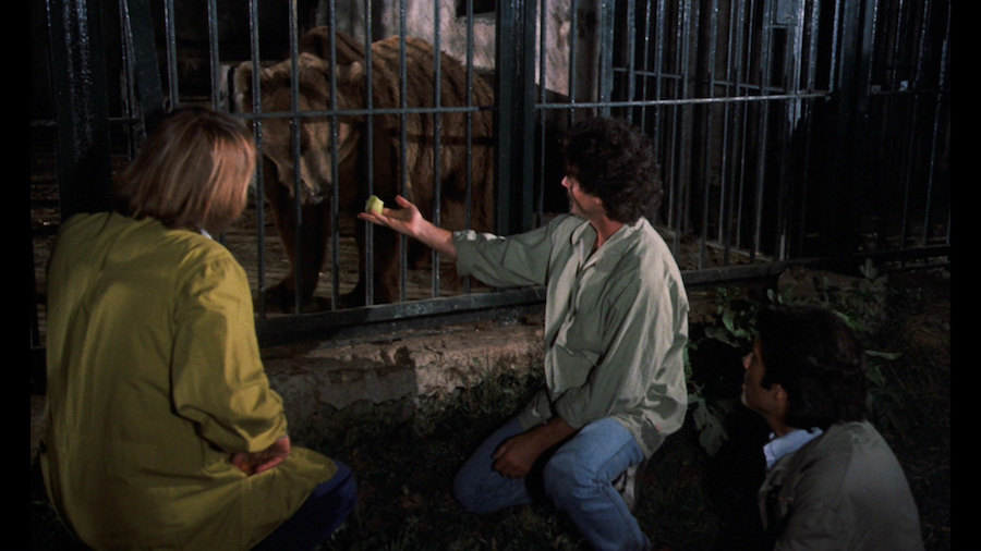 Wild Beasts – Belve feroci / Les bêtes féroces attaquent (1984)